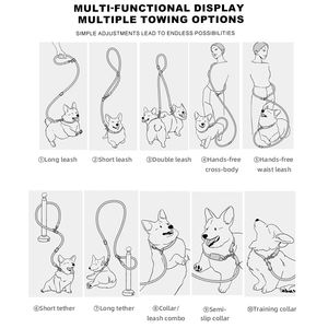 Guinzaglio a P Funzionale Personalizzato per Cani da Passeggio all'Aperto, Corda Leggera e Regolabile in Nylon per Animali Domestici con Pettorina e Collare, LOGO Personalizzato - Product Image 5