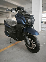 Sepeda Motor Listrik 1000/2000/3000W 2 Kursi Rem Cakram E-Scooter Moped untuk Dewasa