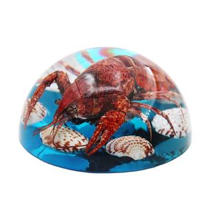 Presse-papiers en résine en forme de homard, d'écrevisse et de coquillage, décoration de bureau, souvenir, cadeau d'affaires haut de gamme - Product Image 1