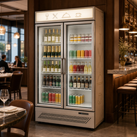 Congélateur vertical à double porte vitrée, refroidissement par air, contrôle numérique de la température, 941L, bar
