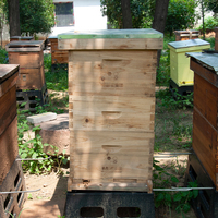 Kit de ruche Langstroth, équipement d'apiculture, ruche en bois