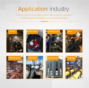 Detector de Gases Múltiples Portátil Personalizado con Protección IP64, Alarma de Vibración/Sonido/Luz, Batería Recargable - Product Image 6