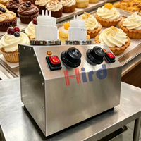 Chauffe-sauce électrique professionnel double bouteille, machine à maintenir au chaud la sauce au chocolat à température constante, capacité 3L, A++