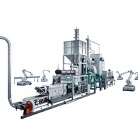 Ligne de production automatique d'aliments secs pour chiens, capacité 3000 kg/h, machine de production de croquettes pour animaux de compagnie avec système PLC