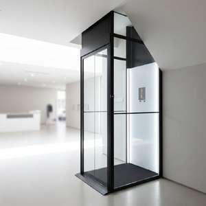 Ascenseur Résidentiel Économique Wemet Factory – Mini Ascenseur Intérieur et Extérieur pour Particuliers - Product Image 2