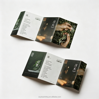 Impression de brochures personnalisées directement de l'usine, vente en gros de brochures pliées en trois, promotion commerciale