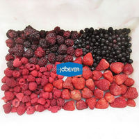 IQF Diepvries Gemengde Bessen en Mix Aardbeien Blauwe Bessen Bulk Leverantie Natuurlijke Oorsprong Fruit BRC Gecertificeerd voor Voedingsmiddelenproductie
