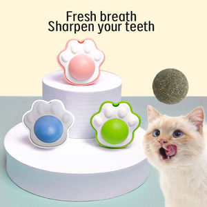 Jouet pour chat de haute qualité en forme de patte de chat, balle à mâcher à la menthe, non toxique, mignon, interactif - Product Image 5