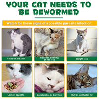Oimmal Gouttes anti-puces et tiques personnalisées pour chats – Solution topique externe pour soins des animaux de compagnie