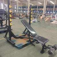 Banc plat multifonctionnel ASM-B4048 pour entraînement de force, banc réglable, chaise romaine, pour débutants et seniors