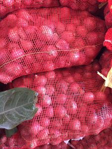 Hành tây túi Trung Quốc nhà máy Dây Kéo Màu Đỏ hành tây Sack lưới túi lưới để đóng gói khoai tây hành tây cà tím bắp cải garic cam củi - Product Image 5