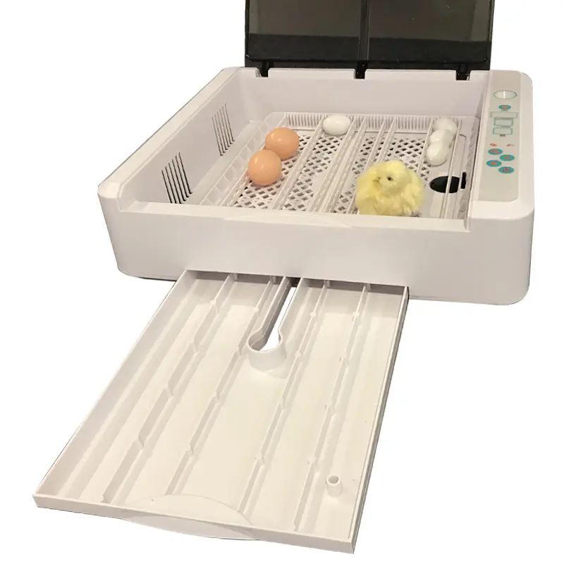 Poultry Hatching Machine Mini Full Automatic 36 Professional Digital Chicken Egg Incubator Multifunction Egg Tray