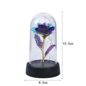 Cadeau de la Saint-Valentin pour petite amie Rose éternelle Lumière LED Fleur en feuille dans un couvercle en verre Fête des mères Cadeaux de mariage Cadeau de demoiselle d'honneur - Product Image 6