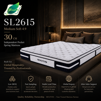 Matelas à ressorts ensachés confortable et moelleux avec mousse de soutien, emballé sous vide dans un carton, disponible en tailles Queen, King et Full pour mobilier de chambre moderne