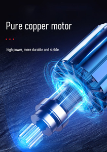 Máquina Desplumadora de Codornices Automática de Acero Inoxidable <span class=keywords><strong>Serie</strong></span> LZQP-30/40/50*60/65/80, 220V, Capacidad de 1-20kg - Product Image 2