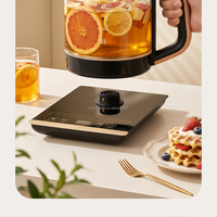 Bouilloire Électrique à Température Constante en Acier Inoxydable 316 avec Filtre, pour Infusion de Thé à Domicile, 1,8 L, Multifonction, en Verre, pour une Boisson Saine