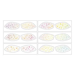 Pegatinas de sombra de ojos con estampado en caliente de lámina dorada, estilo europeo y americano, con diseño de pecas, impermeables, resistentes al sudor, para maquillaje y decoración de fiestas. - Product Image 2