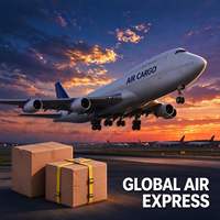 Service de transport aérien express personnalisé, transitaire multi-lignes, service de messagerie aérienne porte-à-porte pour les vendeurs du monde entier