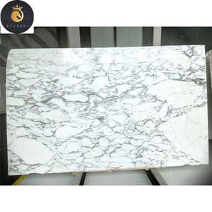 Италия Классический Натуральный Полированный Белый Arabescato Corchia мрамор хорошо подходит для настенной панели ванной комнаты - Product Image 6