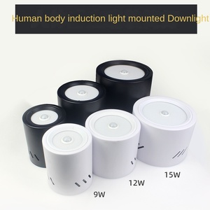 Usine directe 40W COB LED Downlight bonne qualité moulage sous pression en aluminium 12W réglable fixe intérieur hôtel utilisation CRI 95 IP33 - Product Image 6