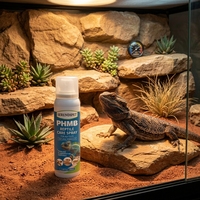 Spray de soin des plaies pour reptiles au chitosane PHMB pour la réparation de la peau des tortues, des geckos, des dragons barbus et des animaux de compagnie, contre la pourriture des écailles, les coupures, les brûlures, les éraflures et les ulcères cutanés
