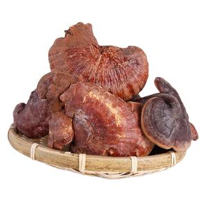 Cogumelos orgânicos <span class=keywords><strong>Lingzhi</strong></span> Ganoderma lucidum erva para alimentos e bebidas - Product Image 1