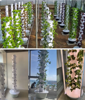 Système de tour hydroponique à 9 étages haute rigidité avec pompe pour l'agriculture verticale et la culture aquaponique