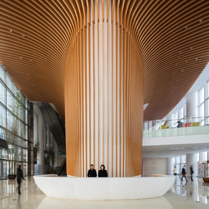 Sang trọng tùy chỉnh trang trí nội thất kim loại Trần Treo Nhôm vách ngăn Trần cho dự án cao cấp - Product Image 3