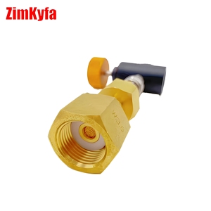อะแดปเตอร์สถานีเติม CO2 รุ่น Tr21-4 W21.8 CGA320 ทองเหลือง สำหรับถังขนาดใหญ่ พร้อมหัวต่อแบบปลดเร็ว 8 มม. สำหรับเครื่องมือลม OEM ใช้ในครัวเรือน ใช้แก๊ส - Product Image 2