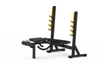 TOPTONS Machine de gymnastique à plaque chargée Nouveau design Entraîneur multifonctionnel Établi multi-jungle pour musculation Powertec
