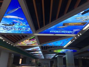 ZHIHAI Nuovo di Modo Decorazione del Soffitto Pannelli 3D HD Night Sky Stars Stampato Pellicola IN PVC per il Soffitto di Stirata - Product Image 4