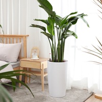 Brice Pot Bunga Berkebun Pot Bunga Vasos Besar Putih Produsen Pot Bunga untuk Plantar De Jardim De Plastik Penyiraman Sendiri