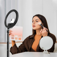 Anneau lumineux LED de 10 pouces pour photographie et TikTok, avec trépied, idéal pour le maquillage et la beauté