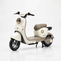 Moto électrique sans balais 1200W 48V à autonomie ultra longue, avec siège confortable, idéale pour les trajets quotidiens des femmes – Vente directe usine