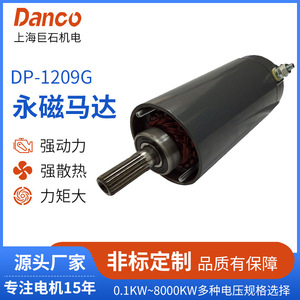 Dp 1209g Permanent Magnet Dc Motor <b>Brushed</b> Type For Mechanical Equipment - Product Image 5