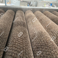 Industriële Fruitsorteerapparatuur Palmdadels Droogsnijmachine Dateert Palmborstelmachine