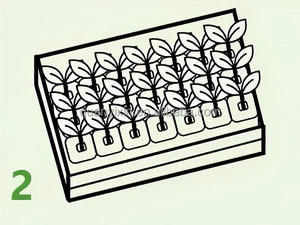 Système hydroponique vertical à 7 niveaux pour la culture en ferme et en extérieur - Product Image 4