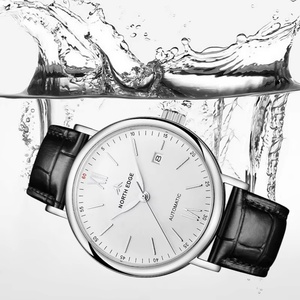 2025 NORTH EDGE AMOY New Sapphire Automatic <b>Mechanical</b> <b>Watch</b> Tourbillon Hollow Through Men's Classic <b>Watch</b> - Product Image 6