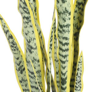 PZ-2-58 가정 장식 진짜 터치 인공 뱀 식물 플라스틱 검은 냄비 인공 화분에 가짜 Sansevieria - Product Image 2