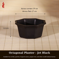 Pots à Bonsaï et Plantes Succulentes en Résine, Design Octogonal de Grande Taille, Style Simple