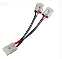 Nouveau faisceau de câblage haute intensité pour énergies renouvelables 50A/120A/175A pour connecteurs, bornes en cuivre pur plaqué argent, câble de connexion de batterie