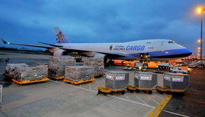 Transporteur China Express <span class=keywords><strong>Air</strong></span> Freight DDP vers Afrique du Sud Égypte Sri Lanka avec <span class=keywords><strong>service</strong></span> de dédouanement - Product Image 4