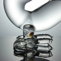 Bouteille de whisky en verre vide en forme de dragon de 750 ml, personnalisable, avec bouchon