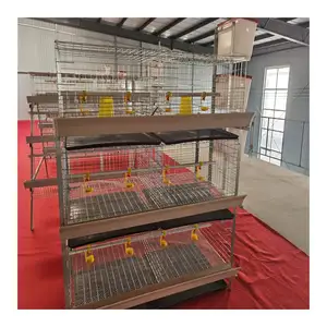 H Type Automatic Chicken Breeding Cage Chicken Broiler Cages for Sale