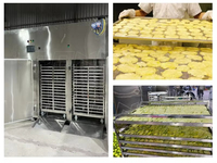 Hoogwaardige fruit- en groenteproducten, knapperige snacks, gemengde gevriesdroogde fruit en groenten