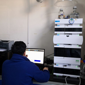 Hızlı kilo alımı Vitamin konsantre et takviyesi ördek ve tavuk besleme süresini kısaltır hayvan yemi katkı maddesi - Product Image 3