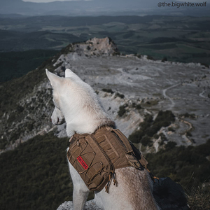 Açık seyahat yansıtıcı naylon yürüyüş sırt çantası demeti köpek çeviklik eyer çantası ayarlanabilir boyutu büyük kapasiteli - Product Image 5