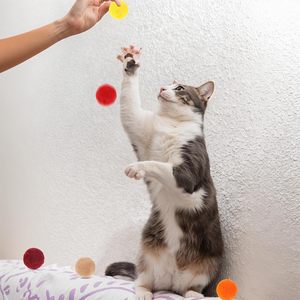 Xthrotsenk Cat Pom Pom Balls, jouet interactif en peluche coloré de 1 pouce pour l'exercice et le jeu amusant des chatons - Product Image 2