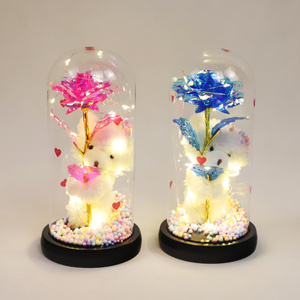 Cadeaux de fête des mères Rose naturelle éternelle préservée Lumière LED dans un dôme en verre Led Forever Rose Flowers Cadeau pour la Saint-<span class=keywords><strong>Valentin</strong></span> - Product Image 5