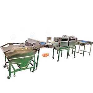 Máquina automática de lavado y rotura de huevos Línea de producción de secado de rodillos de cepillo para ventas al por mayor - Product Image 1
